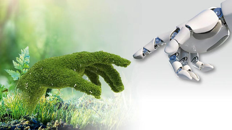 шарцу